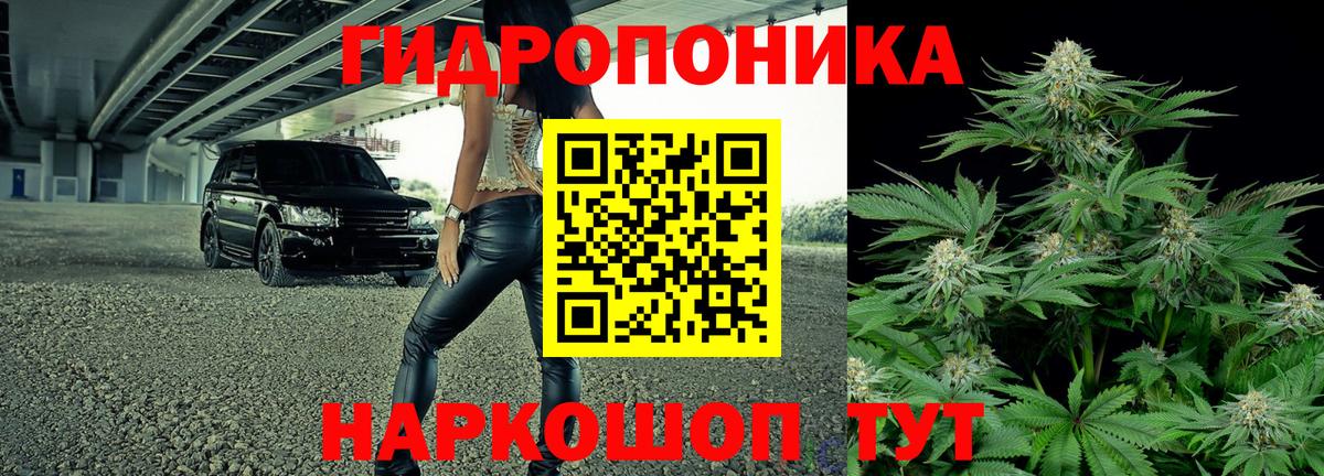 Конопля VHQ  Вход с VPN  Вольск  Бошки марихуана ГИДРОПОН 